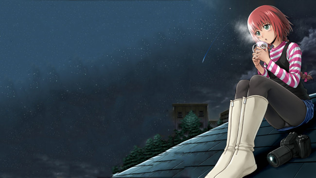Обои картинки фото аниме, darker than black, suou, pavlichenko, девушка, небо, звезды, крыша, здания, фотоаппарат, кружка, деревья