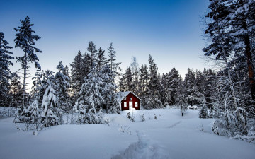 Картинка города -+здания +дома деревья лес сугробы снег зима