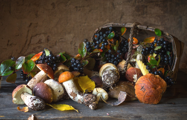 Обои картинки фото еда, натюрморт, арония, осень, грибы, корзина