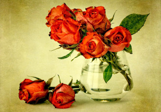 Картинка цветы розы букет ваза красный