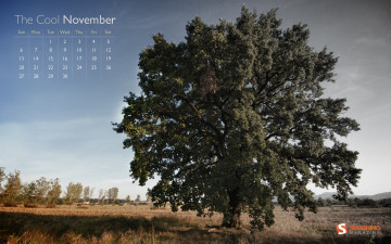 Картинка календари природа поле дерево