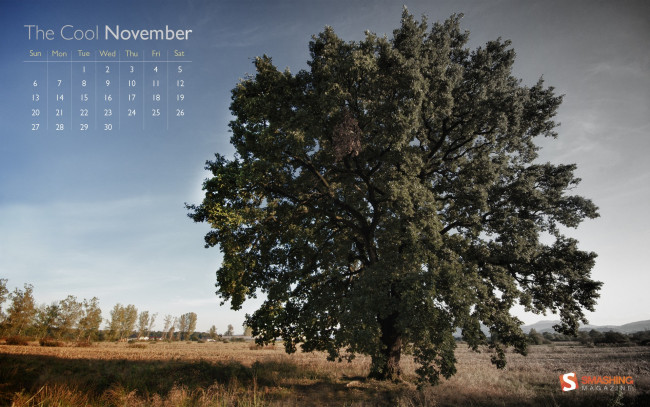 Обои картинки фото календари, природа, поле, дерево
