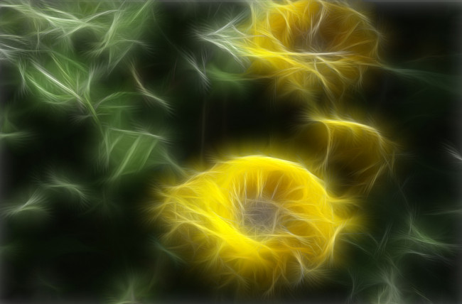 Обои картинки фото 3д, графика, flowers, цветы, тёмный, жёлтый