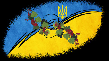 Картинка разное флаги гербы украина страна символика калина герб флаг