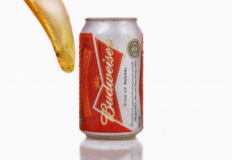 обоя бренды, budweiser, банка, пиво