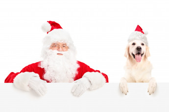 Картинка праздничные дед мороз собака колпак