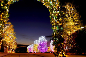 Картинка праздничные новогодние пейзажи иллюминация арка улица деревья