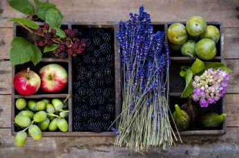 обоя еда, фрукты, ягоды, цветы, лаванда, ежевика, сливы, яблоки, желуди, осень, корзина