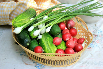 Картинка еда овощи лук огурцы редис