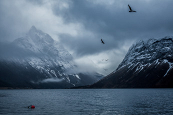 Картинка природа реки озера птицы залив горы норвегия
