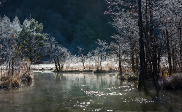 Картинка природа реки озера горы река лес деревья иней