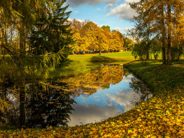 Обои картинки фото природа, парк, листья, деревья, осень, река