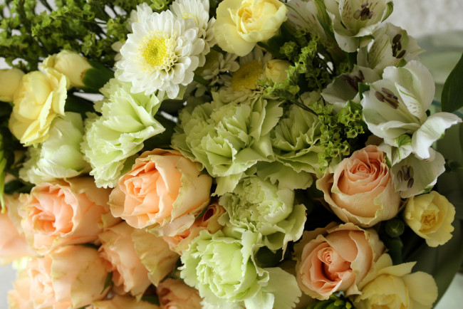 Обои картинки фото цветы, разные вместе, альстромерии, хризантемы, розы
