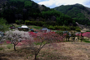 Картинка города -+пейзажи Япония горы весна деревья