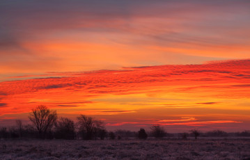 Картинка природа восходы закаты деревья закат облака небо поле
