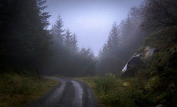 обоя природа, дороги, дорога, деревья, лес, туман, камни