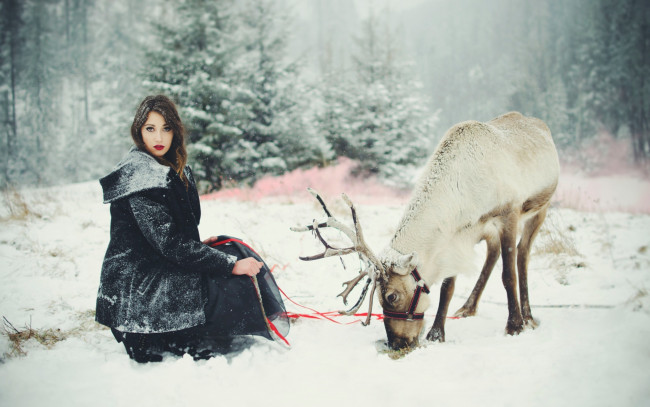 Обои картинки фото девушки, -unsort , брюнетки,  шатенки, зима, олень, девушка