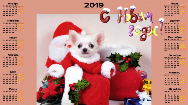 Обои картинки фото календари, праздники,  салюты, игрушка, собака