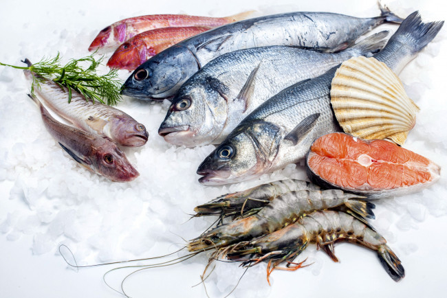 Обои картинки фото еда, рыба,  морепродукты,  суши,  роллы, ассорти, креветки