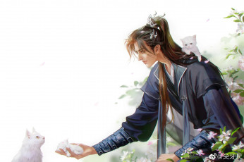 обоя аниме, the husky and his white cat shizun, заклинатель, кошки, цветы