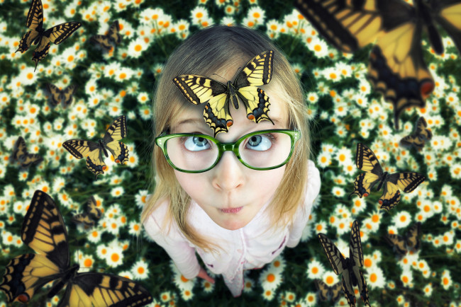 Обои картинки фото разное, дети, девочка, бабочки, очки, ромашки