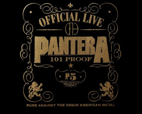 Картинка pantera3 музыка pantera