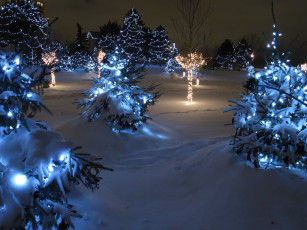 обоя праздничные, Ёлки, снег, сугробы, елки, иллюминация