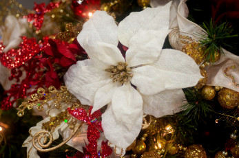 Картинка праздничные мишура гирлянды цветы бусины пуансеттия