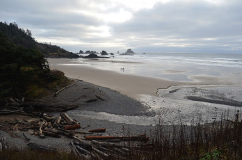 Картинка природа побережье фигуры океан пляж скалы тучи сумрак