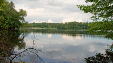 Картинка нижегородский край природа реки озера лес озеро