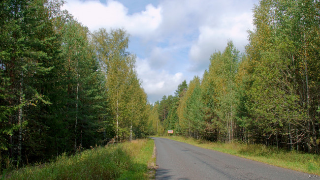 Обои картинки фото нижегородский, край, природа, дороги, облака, лес, дорога, небо