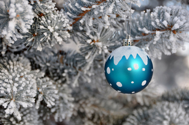 Обои картинки фото праздничные, шарики, елка, снег, шарик