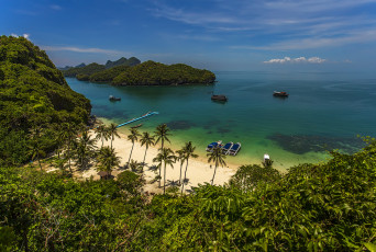 Картинка природа тропики пальмы острова пляж океан