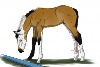 Картинка рисованное животные +лошади грива взгляд фон лошадка