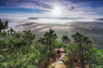 Картинка природа восходы закаты заря туман лес горы