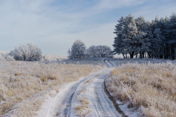 Картинка природа зима дорога поле иней