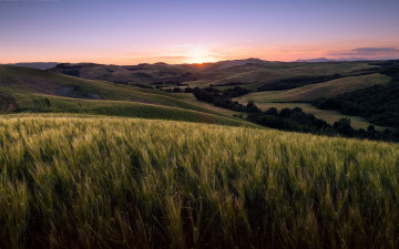 Картинка природа поля поле tuscany volterra закат