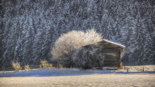 Обои картинки фото разное, сооружения,  постройки, зима, хижина, утро, снег, лес, деревья, природа