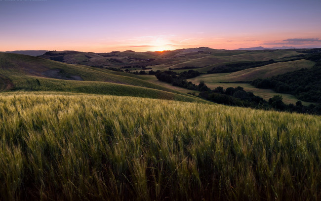 Обои картинки фото природа, поля, поле, tuscany, volterra, закат