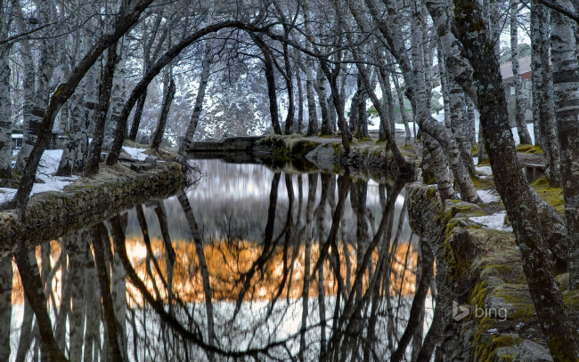 Обои картинки фото природа, реки, озера, португалия, серра-да-эштрела, covao, da, ametade, река, зезере, деревья, снег, туман