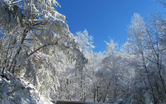 Обои картинки фото природа, зима, снег, дорога
