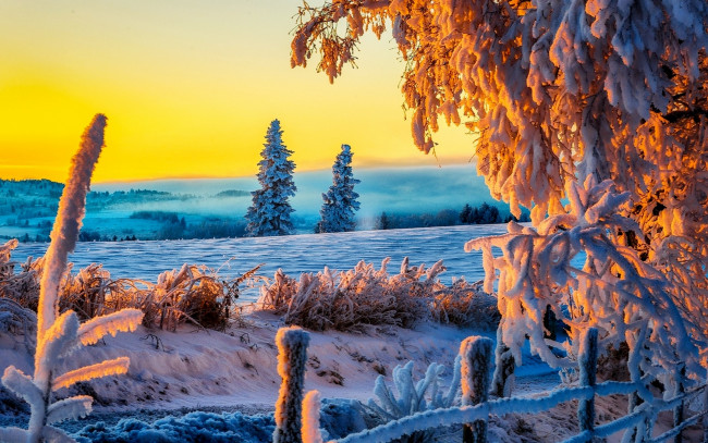 Обои картинки фото природа, зима, снег, дорога, деревья