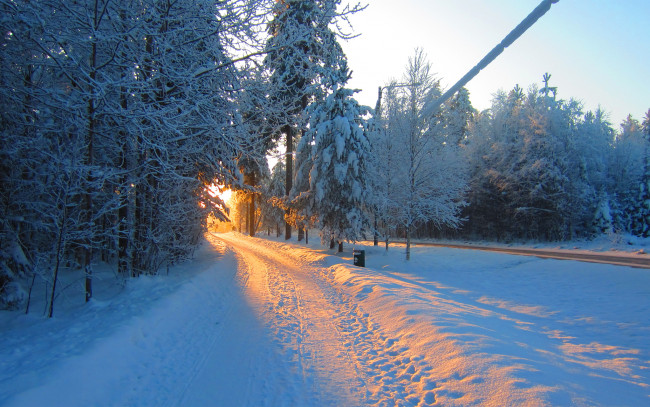 Обои картинки фото природа, зима, закат, лес, снег, дорога, фонарь, парк