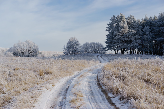 Обои картинки фото природа, зима, дорога, поле, иней