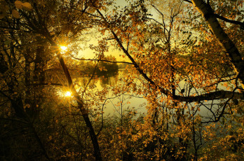 Картинка природа восходы закаты лес река