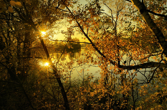 Обои картинки фото природа, восходы, закаты, лес, река