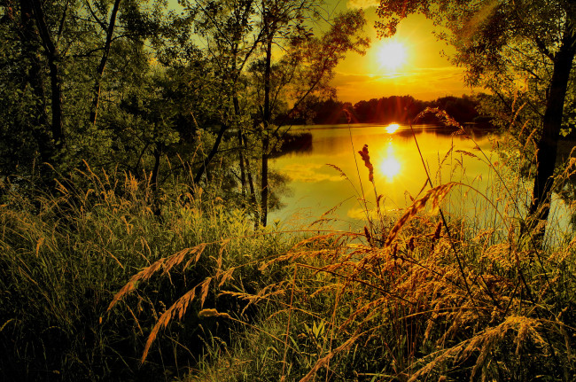 Обои картинки фото природа, восходы, закаты, река, лес