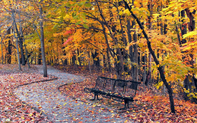 Обои картинки фото природа, парк, листопад, осень, листва, аллея, деревья, скамейка