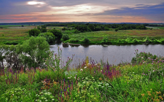 Обои картинки фото природа, реки, озера, простор, покой, лето, цветы, река, луга