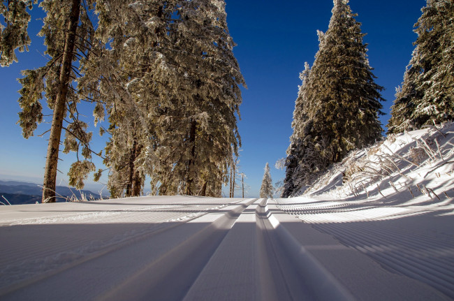 Обои картинки фото природа, зима, снег, колея, дорога, деревья